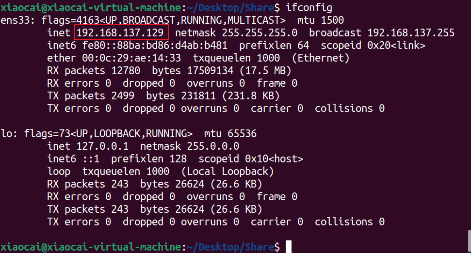 image-20251110103856846